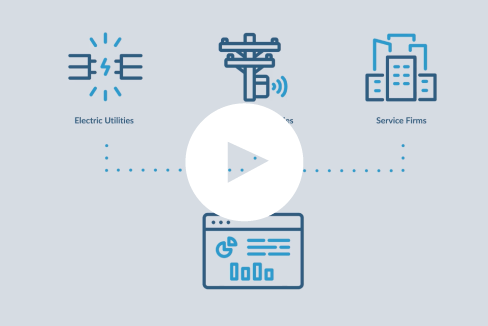 Reporting & Dashboards