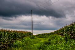Readiness & Restoration: Limiting Outages in Severe Weather