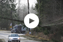 Utility Pole Violations: Environmental Conditions
