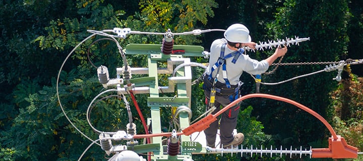 Pole technician